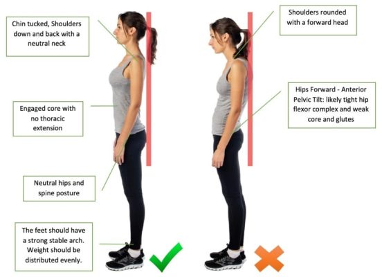 Improved Posture and Circulation